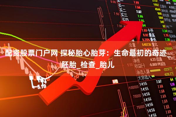 配资股票门户网 探秘胎心胎芽：生命最初的奇迹_胚胎_检查_胎儿