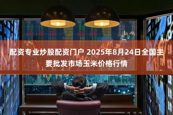 配资专业炒股配资门户 2025年8月24日全国主要批发市场玉米价格行情