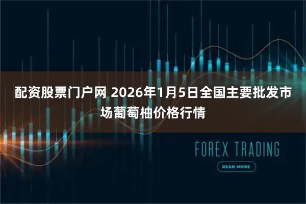 配资股票门户网 2026年1月5日全国主要批发市场葡萄柚价格行情